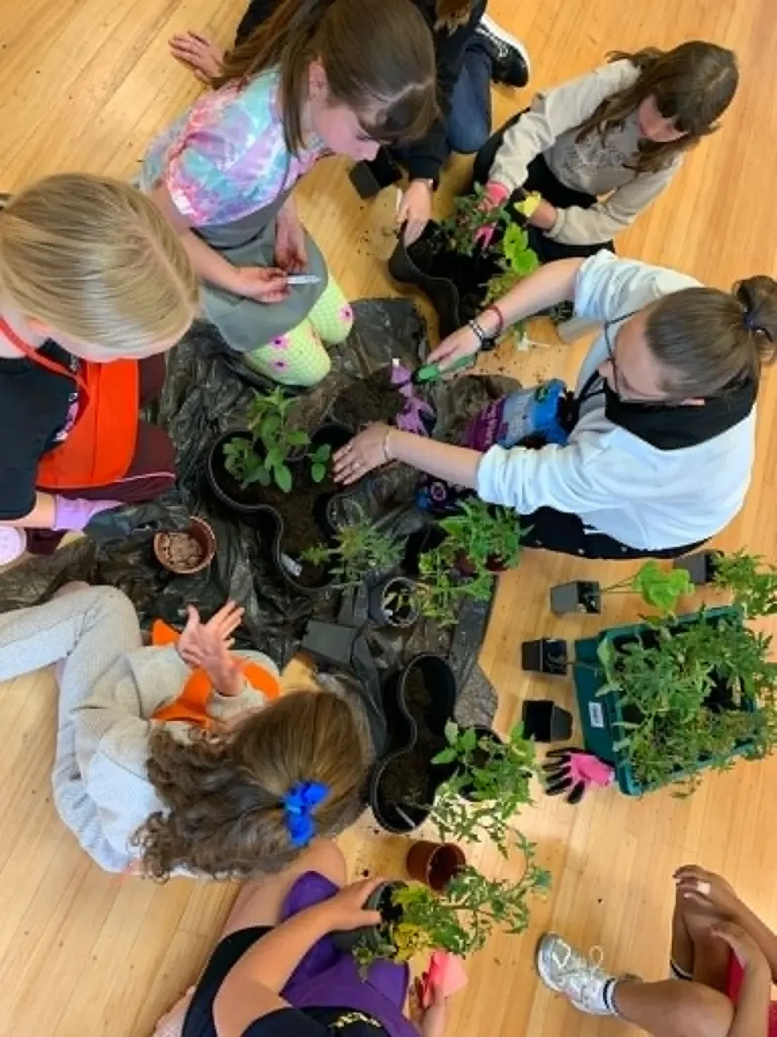 Young people potting up plants together at a Mental Health Warriors gardening session